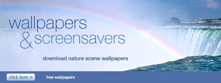 free wallpapers and screensavers. free wallpapers amp; free
