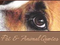 Pet Quotes and Sayings