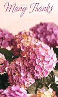 Printable Cards and Projects
