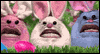 We Are Easter Bunnies (Fun Song)