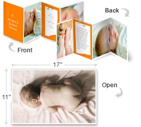 The Amazing Folding Poster Card - Baby - Full Size