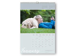 11x16 Calendar - Quill