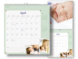 11x24 Really Big Calendar - Picnic