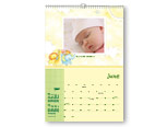 11x16 Calendar - Noah