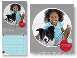 11x24 Really Big Calendar - Verve
