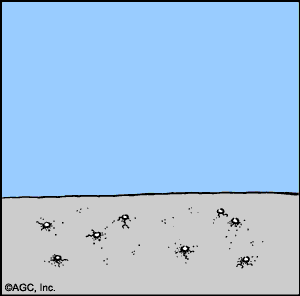 graphic1.gif