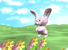 Bunny hopping through field