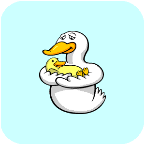 duck1.gif