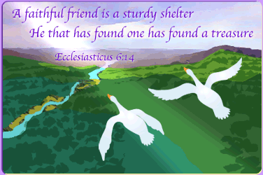 Ecclediasticus 6:14 A faithful friend is a sturdy shelter He that has found one has found a treasure