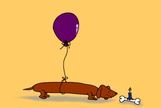 birthdaydog1cp.gif