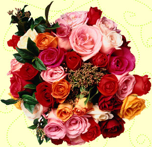 http://www.imgag.com/product/full/ap/3031736/roses1cp.jpg