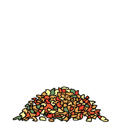 Hedgehog falling into a pile of leaves