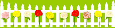 Picket fence with roses