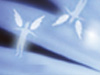 Friends Are Angels -- Free Spring screensavers -- Yahoo! Greetings screensavers