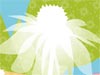 Springtime -- Free Spring screensavers -- Yahoo! Greetings screensavers