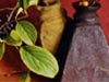 Still Life -- Free Autumn screensavers -- Yahoo! Greetings screensavers