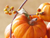 Harvest Time -- Free Autumn screensavers -- Yahoo! Greetings screensavers
