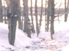 Winter in the Country -- Free Winter screensavers -- Yahoo! Greetings screensavers