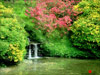 Nature -- Free Spring screensavers -- Yahoo! Greetings screensavers