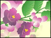 Lavender Blooms -- Free Spring screensavers -- Yahoo! Greetings screensavers