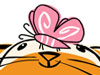 Kitten and Butterfly -- Free Cats screensavers -- Yahoo! Greetings screensavers