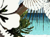 Tropical Afternoon -- Free Beach screensavers -- Yahoo! Greetings screensavers