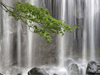 Tropical Waterfalls -- Free Nature screensavers -- Yahoo! Greetings screensavers
