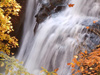Portraits of Autumn -- Free Autumn screensavers -- Yahoo! Greetings screensavers