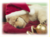 A Long Winters Nap -- Free Christmas screensavers -- Yahoo! Greetings screensavers