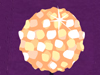 The Ball Is Dropping! -- Free New Year screensavers -- Yahoo! Greetings screensavers