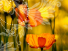 Inspirational Advice -- Free Nature screensavers -- Yahoo! Greetings screensavers