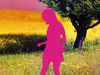 Love is all around -- Free Valentine's Day screensavers -- Yahoo! Greetings screensavers