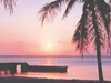 Tropical Sunset -- Free Nature screensavers -- Yahoo! Greetings screensavers