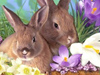 Everything Easter -- Free Easter screensavers -- Yahoo! Greetings screensavers