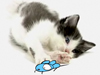 Cat and Mouse -- Free Cats screensavers -- Yahoo! Greetings screensavers