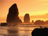 Natural Beauty -- Free Nature screensavers -- Yahoo! Greetings screensavers