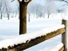 December Calendar -- Free December wallpapers -- Yahoo! Greetings wallpapers