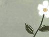Single Daisy -- Free Flower Art wallpapers -- Yahoo! Greetings wallpapers