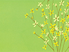 Sweetness -- Free Flower Art wallpapers -- Yahoo! Greetings wallpapers
