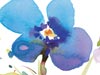 Violets Are Blue -- Free Flower Art wallpapers -- Yahoo! Greetings wallpapers