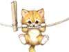 Hang in There! -- Free Cat wallpapers -- Yahoo! Greetings wallpapers