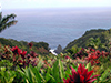 View of Paradise -- Free Hawaii wallpapers -- Yahoo! Greetings wallpapers