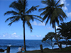 Alone in Paradise -- Free Hawaii wallpapers -- Yahoo! Greetings wallpapers