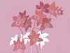 February Calendar -- Free February wallpapers -- Yahoo! Greetings wallpapers