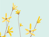 January Calendar -- Free January wallpapers -- Yahoo! Greetings wallpapers