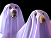 Spooky Pooches -- Free Halloween wallpapers -- Yahoo! Greetings wallpapers