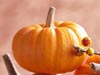 Pumpkin Centerpiece -- Free Thanksgiving wallpapers -- Yahoo! Greetings wallpapers