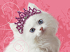 Furry and Fabulous -- Free Cat wallpapers -- Yahoo! Greetings wallpapers