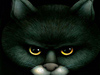 Ticked-off Kitty -- Free Halloween wallpapers -- Yahoo! Greetings wallpapers