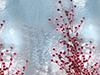 Winter Berries -- Free Winter wallpapers -- Yahoo! Greetings wallpapers